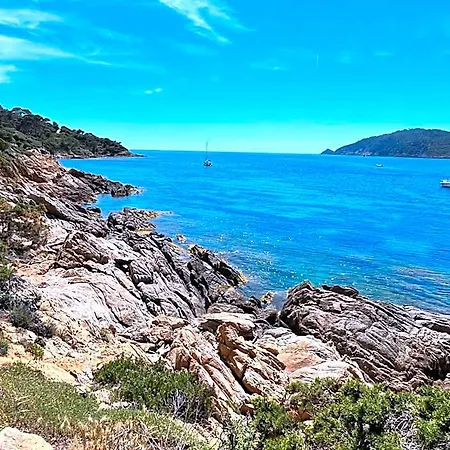 فندق La Roche Aux Mouettes Ile Du Levant Hyères