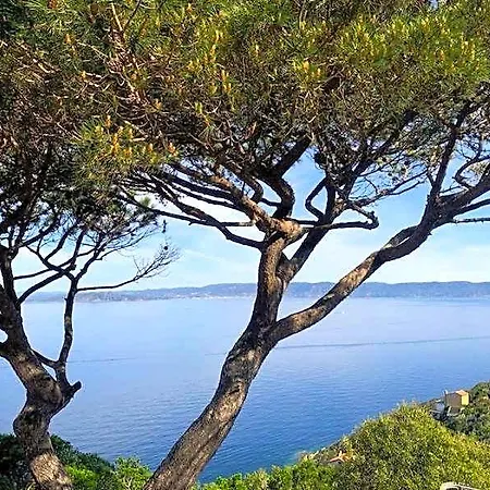 La Roche Aux Mouettes Ile Du Levant מלון
